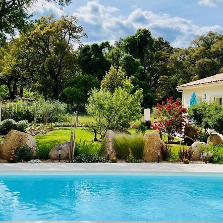 Mini Villa Pascal Paoli Avec Piscine - Proche Mer Prunelli-di-Fiumorbo Eksteriør bilde