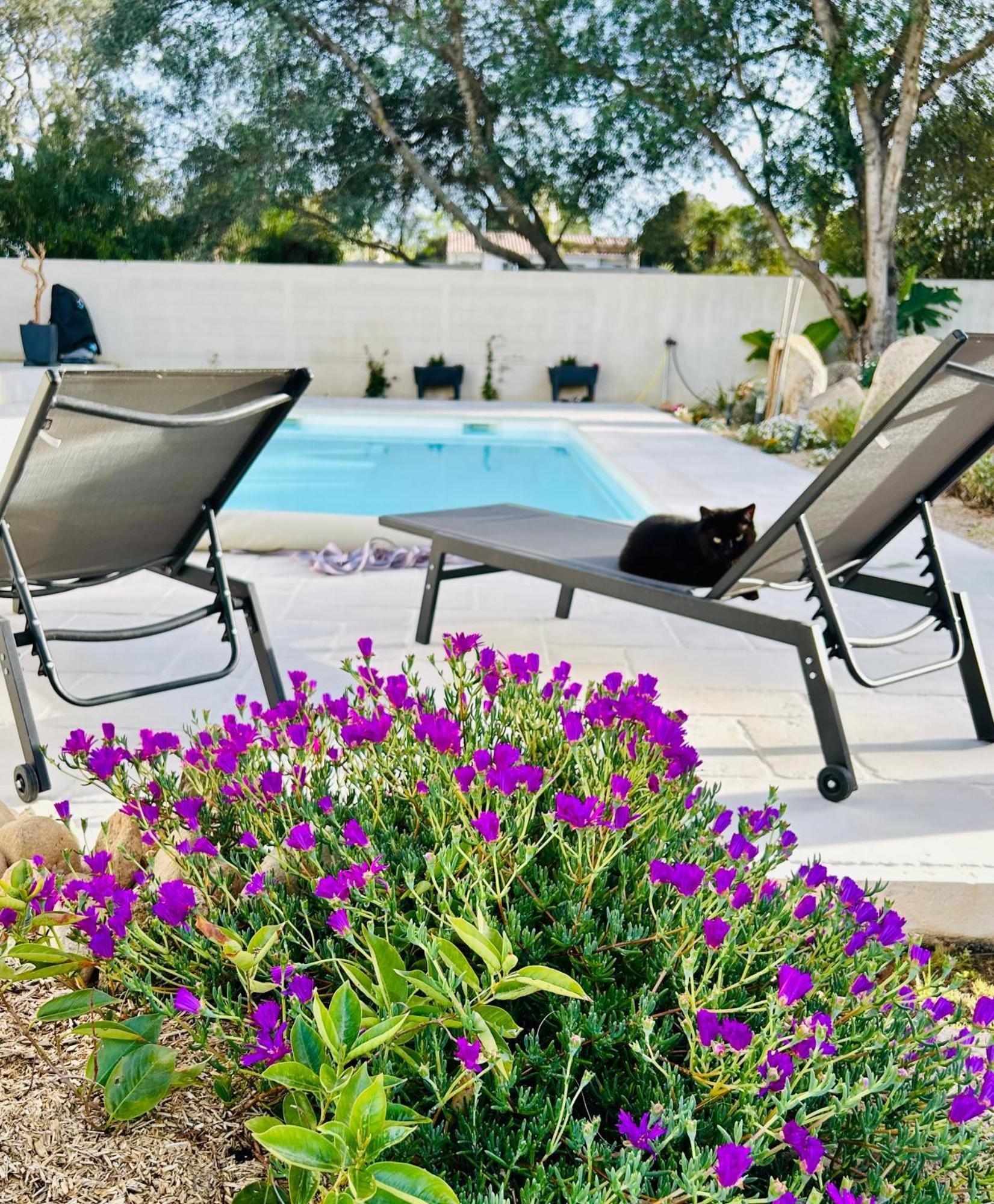 Mini Villa Pascal Paoli Avec Piscine - Proche Mer Prunelli-di-Fiumorbo Eksteriør bilde