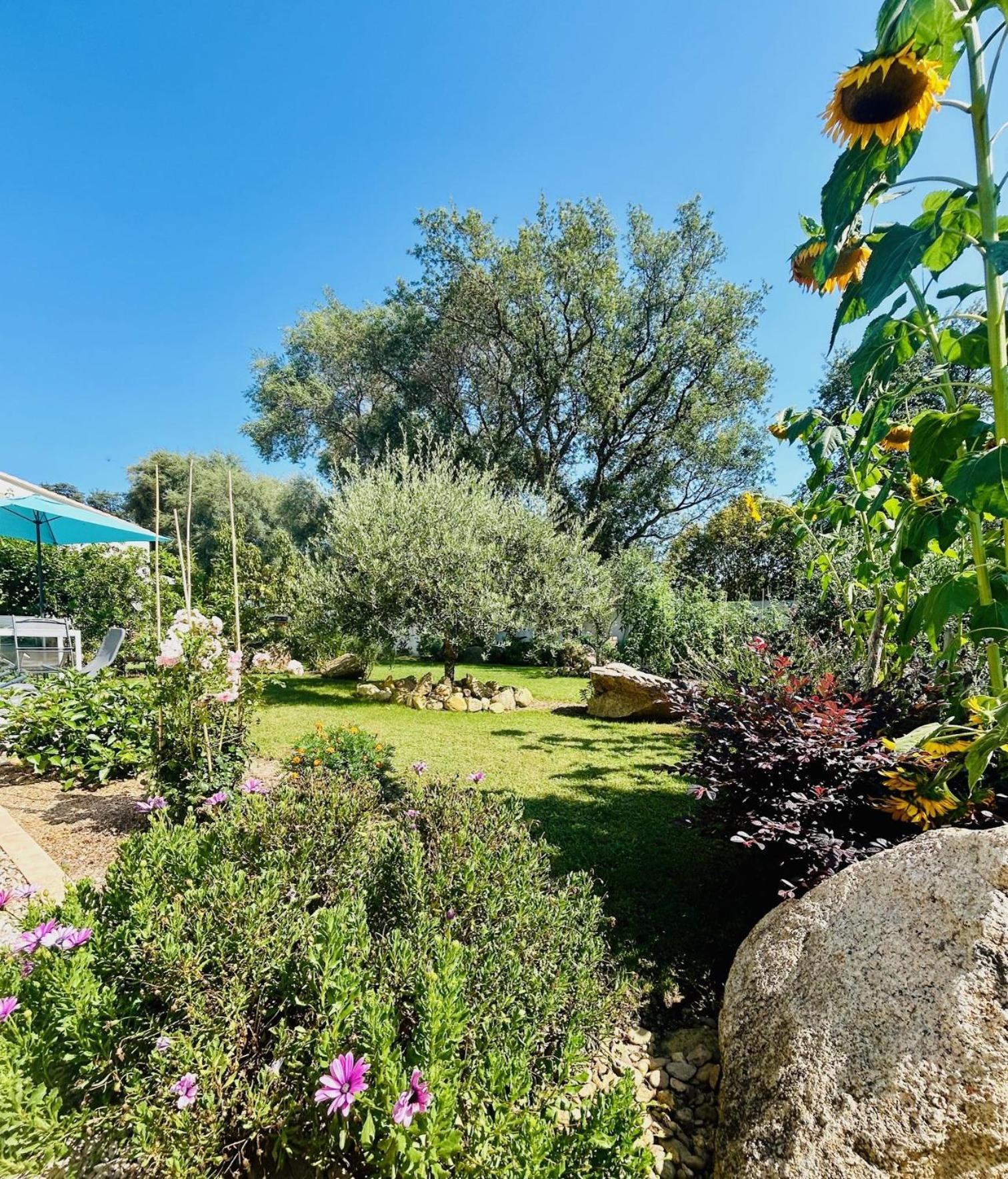 Mini Villa Pascal Paoli Avec Piscine - Proche Mer Prunelli-di-Fiumorbo Eksteriør bilde